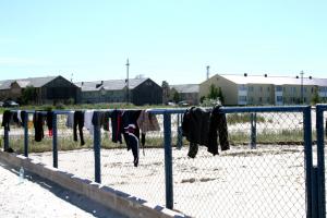 IMG_6050.jpg