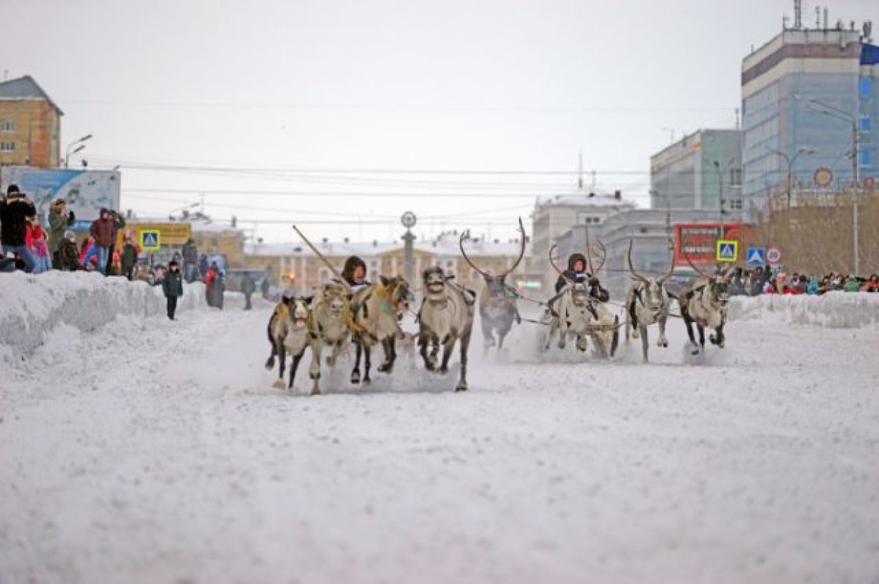 Воркута праздник севера