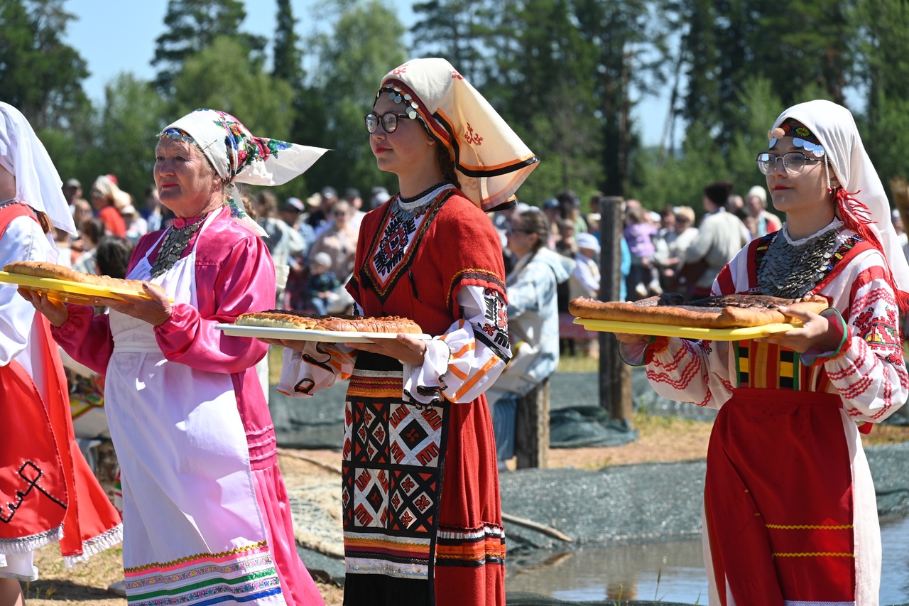 Праздник гербер рисунок