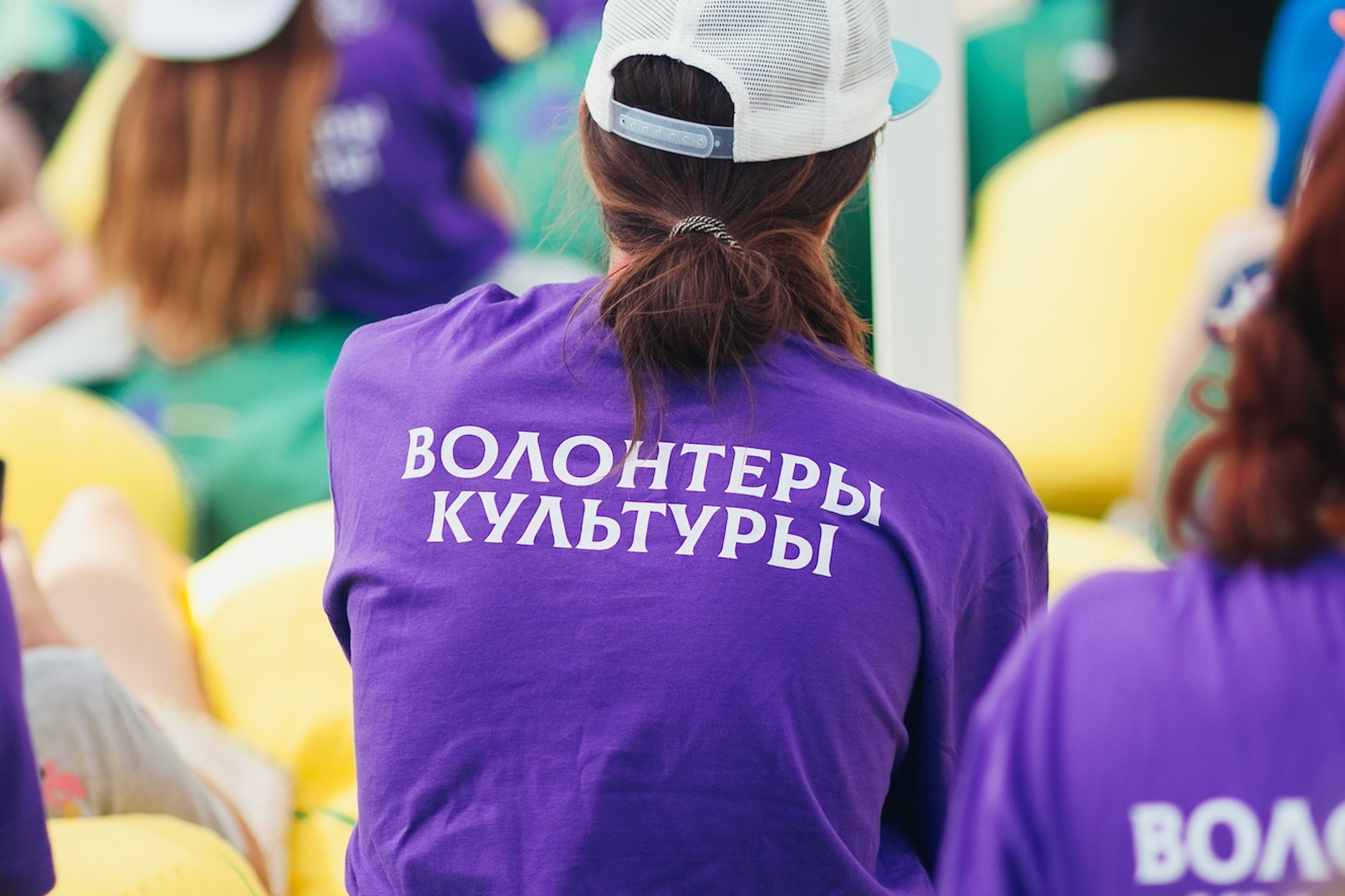 На какой период рассчитана программа волонтеры культуры национального проекта культура